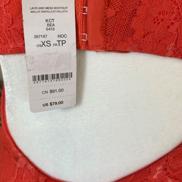 LACE AND MESH BODYSUIT - Picture 3 of 6